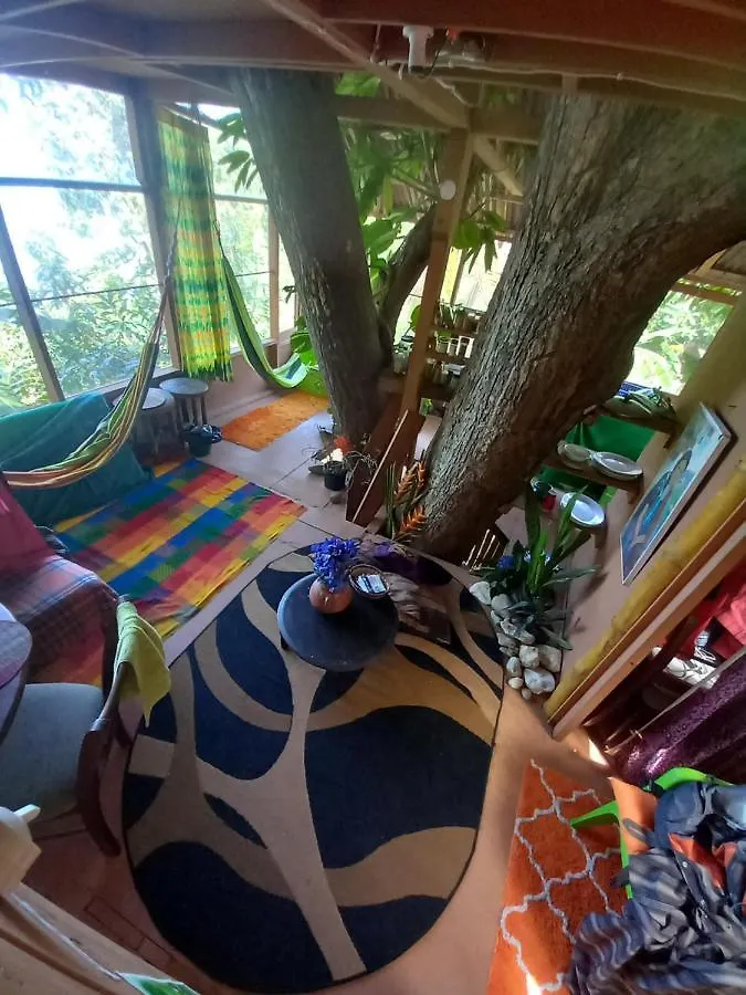 Apartamento Treehouse Above The Beach Port Antonio