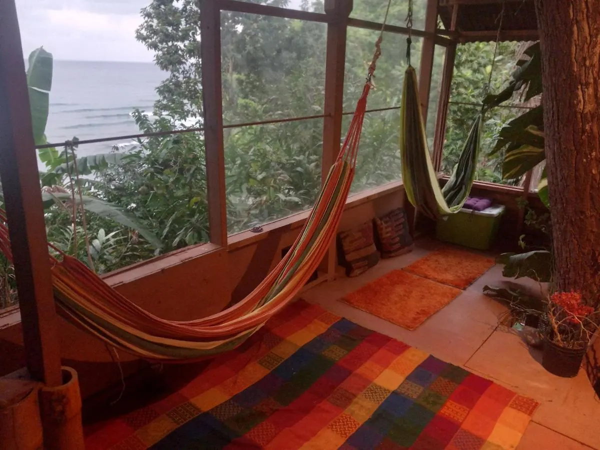 Daire Treehouse Above The Beach Port Antonio