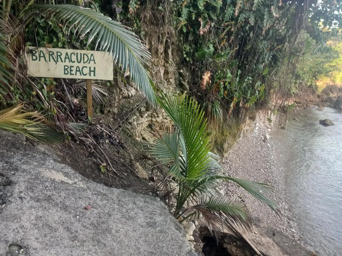 Apartamento Treehouse Above The Beach Port Antonio Jamaica