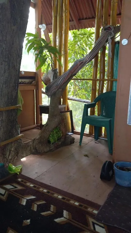 Apartmán Treehouse Above The Beach Port Antonio Jamajka