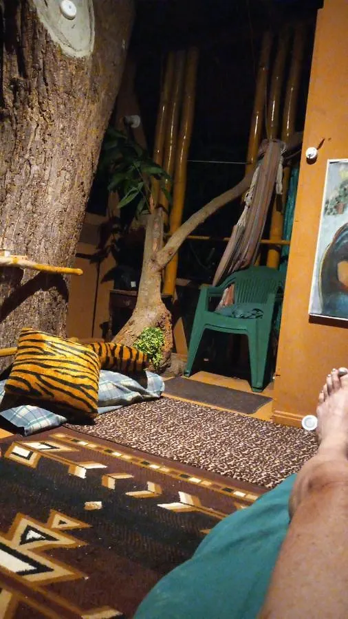 Apartmán Treehouse Above The Beach Port Antonio