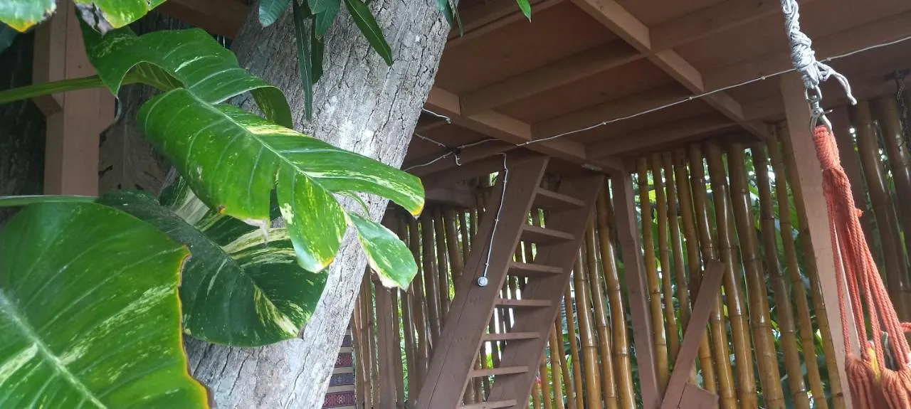 Treehouse Above The Beach Port Antonio Apartmán