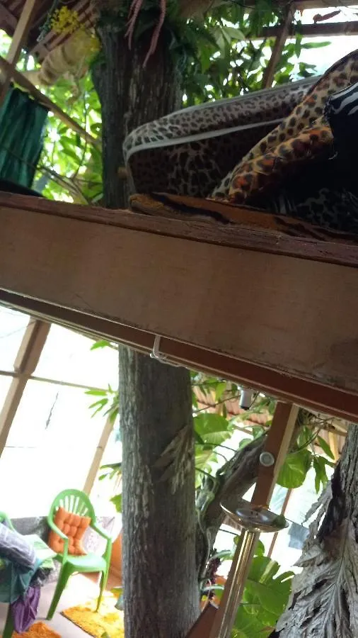 Treehouse Above The Beach Πορτ Αντόνιο