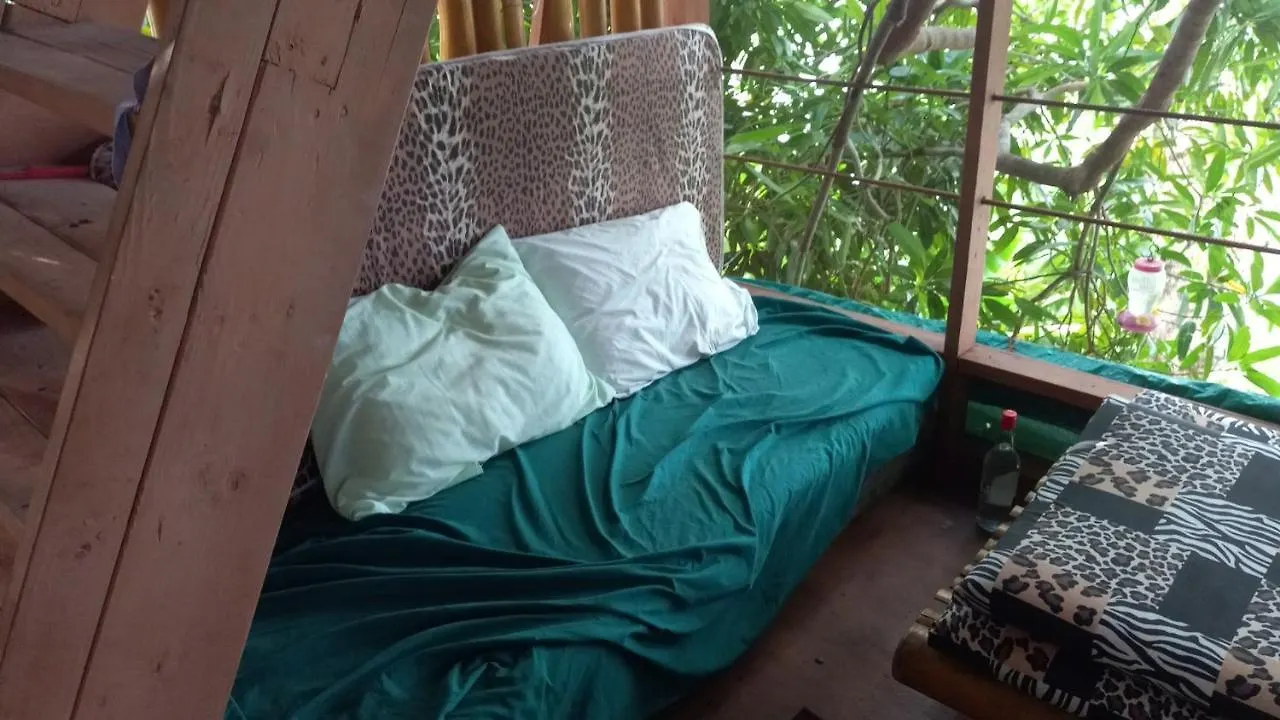 Treehouse Above The Beach Πορτ Αντόνιο Διαμέρισμα