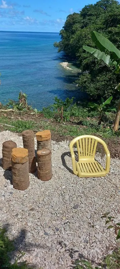 Διαμέρισμα Treehouse Above The Beach Πορτ Αντόνιο Τζαμάικα