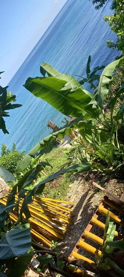 Διαμέρισμα Treehouse Above The Beach Πορτ Αντόνιο
