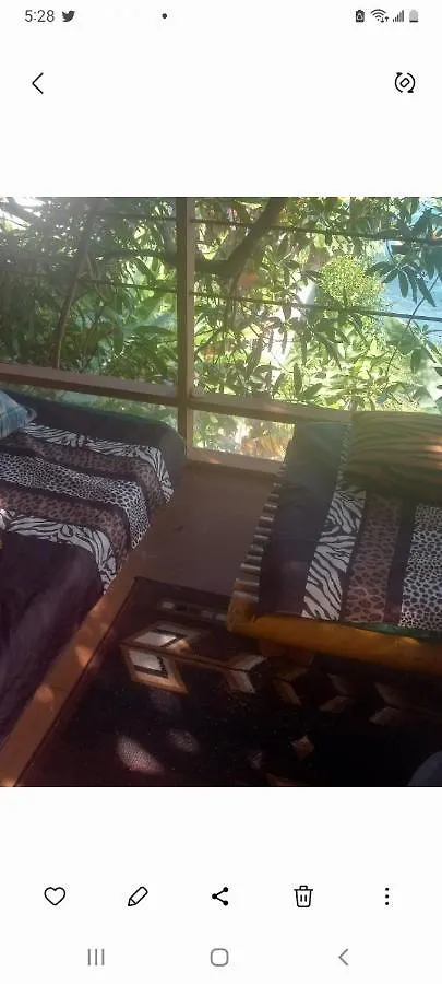 Treehouse Above The Beach Πορτ Αντόνιο 0*,  Τζαμάικα